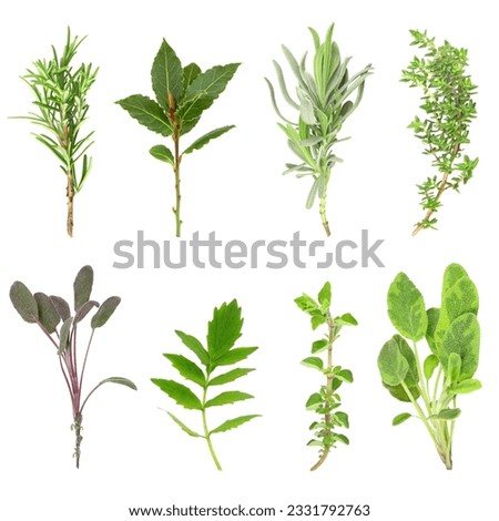 Herb leaf sprigs of rosemary, bay, lavender, thyme, purple sage, valerian, -vallium substitute- oregano and variegated sage set against a white background. In order from top left to right.