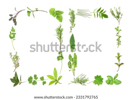 Herb leaf selection forming two borders of sage, thyme, lemon balm ,rosemary, parsley, bay, coriander, thyme, lavender, comfrey, chives, valerian, -vallium substitute- oregano, spearmint, basil, ladie