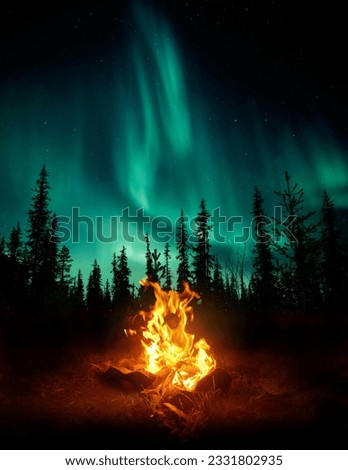 A warm and cosy campfire in the wilderness with forest trees silhouetted in the background and the stars and Northern Lights -Aurora Borealis- lighting up the night sky. Photo composite. Royalty-Free Stock Photo #2331802935
