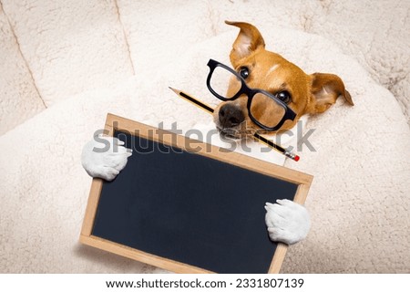 office worker businessman jack russell dog as boss and chef , with pencil or pen in mouth, holding banner or placard