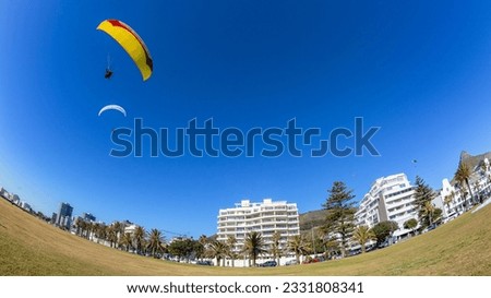 Paragliders tandem parachutes blue sky closeup flight landing front of buildings mountains onto promenade grass field at Seapoint Cape Town. Royalty-Free Stock Photo #2331808341