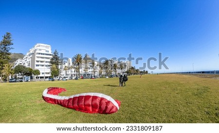 Paraglider tandem red parachute closeup flight landing front of buildings mountains onto promenade grass field at Seapoint Cape Town. Royalty-Free Stock Photo #2331809187