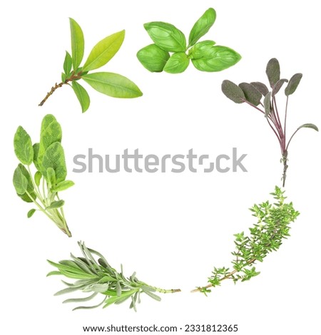 Organic herb garland of basil, purple sage, common thyme, lavender, variegated sage, and bay set against a white background. -Clockwise order-