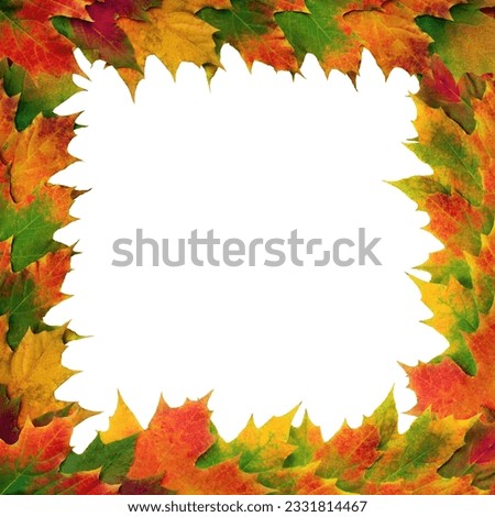 Maple leaves in autumn forming a border, over white background.
