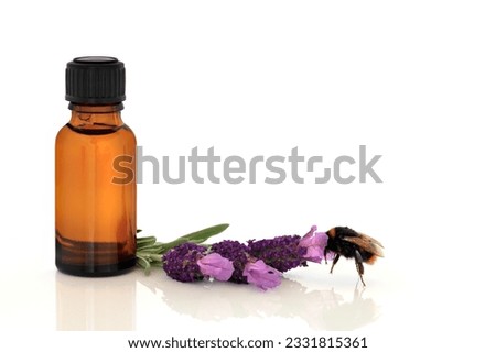 Lavender herb flowers with a bumble bee and aromatherapy essential oil glass bottle, over white background.