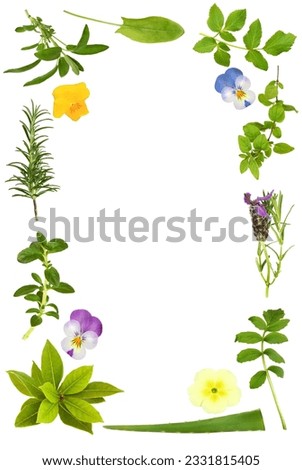 Herb leaf selection with lavender, viola and primrose spring flowers forming an abstract border, over white background.