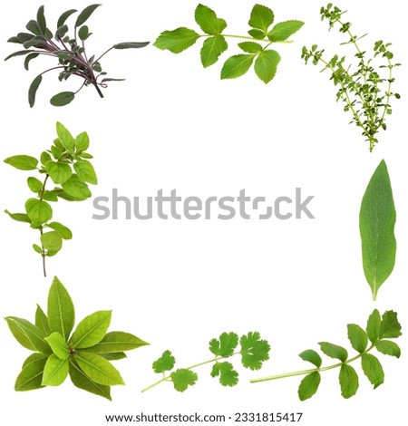 Herb leaf selection forming an abstract frame, over white background.