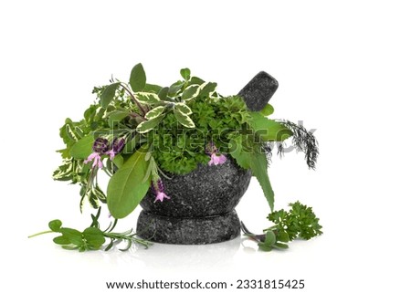 Herb leaf selection of sage, rosemary, parsley, fennel, sorrel , angelica and lavender with flowers with a granite mortar with pestle, over white background.
