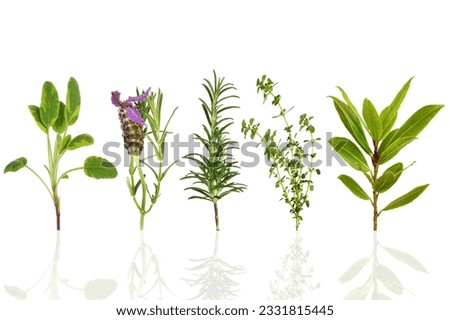 Sage, lavender, rosemary, thyme and bay leaf herbs, over white background with reflection.