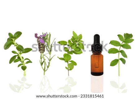 Herb leaf selection of peppermint, lavender, oregano and valerian with an aromatherapy essential oil glass dropper bottle, over white background.