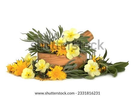 Wild primrose and dandelion flowers with lavender, rosemary and sage herb leaf sprigs and an olive wood mortar with pestle over white background.