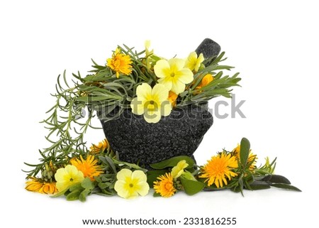 Lavender, rosemary and sage herb leaves with viola, primrose and dandelion flowers in a granite mortar with pestle, over white background.