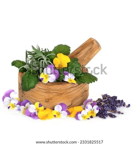 Herb leaf selection of lavender and lemon balm with violet flowers and dried lavender and an olive wood mortar with pestle, over white background.