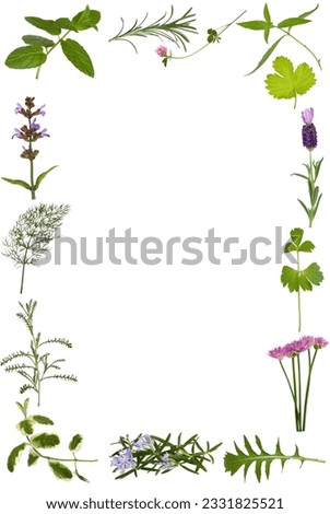 Herb flower and leaf sprig abstract border, over white background.