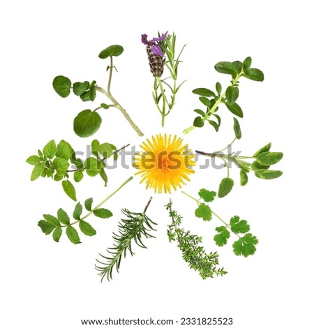 Herb leaf selection in abstract circular design with a wild dandelion flower in the center