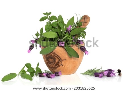 Lavender flowers and mixed herb leaves in an olive wood mortar with pestle with a bumblebee next to a floral sprig, over white background.