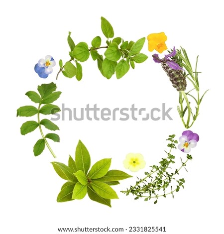 Herb leaf garland of lavender, bay, oregano, lemon thyme and valerian, with primrose and viola flowers, over white background.