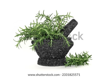Fresh rosemary herb leaves in a granite mortar and pestle, over white background.