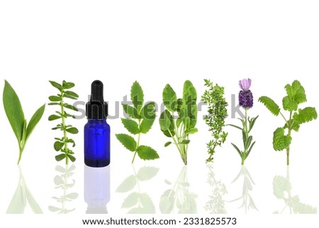 Herb leaf selection of comfrey, peppermint, valerian, sage, thyme, lavender and lemon balm with an aromatherapy essential oil glass dropper bottle, over white background.