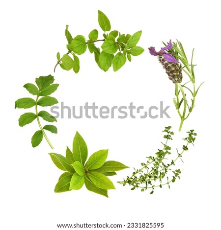 Herb leaf garland of lavender, bay, oregano, lemon thyme and valerian, over white background.