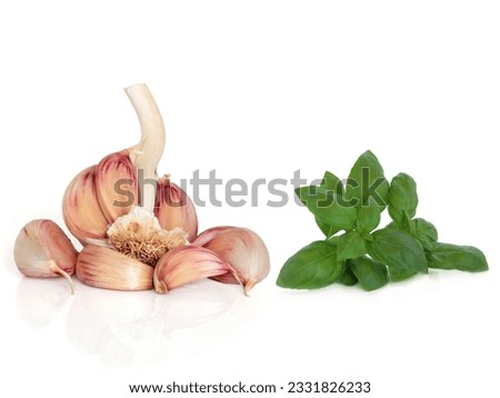 Garlic cloves and basil herb leaf sprig, isolated over white background.