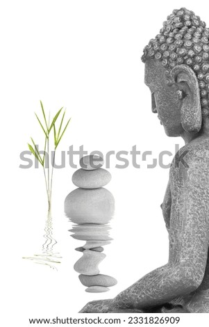 Buddha in meditation abstract, with bamboo leaf grass and a line of grey stones, isolated over white background. Mass produced statue.