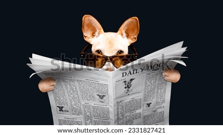 podenco dog reading a newspaper magazine , isolated on black background, wearing sunglasses