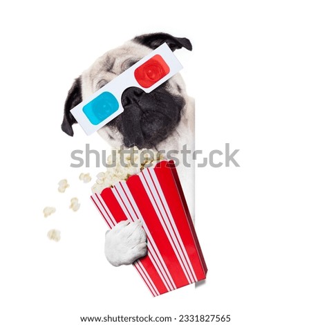 pug dog at cinema watching the movies with 3d glasses isolated on white background , with popcorn snak