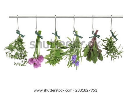 Herb leaf and flower bunches of thyme, chives, oregano, lavender, sage and rosemary hanging and drying on a stainless steel pole, isolated over white background.
