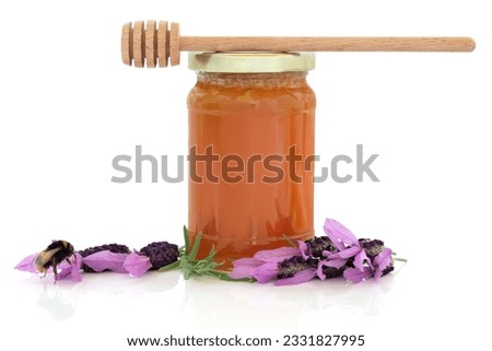 Lavender flowers and bumble bee with honey jar and wooden dropper stick, isolated over white background with reflection.