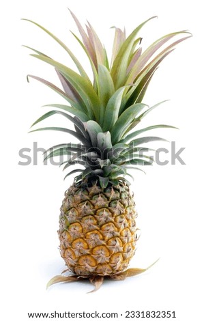 Single Whole Pineapple Isolated on White Background