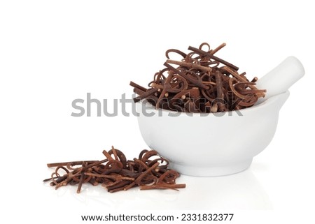 Uncaria stem with hooks in a porcelain mortar with pestle and scattered, isolated over white background. Used in traditional chinese herbal medicine. Gon teng. Ramulus uncariae cum uncis. Royalty-Free Stock Photo #2331832377