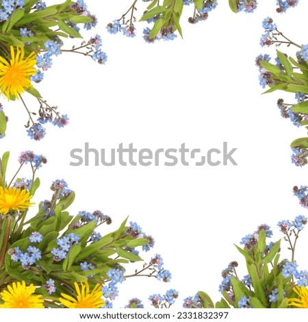 Dandelion and forget me knot flowers forming an abstract border, isolated over white background.
