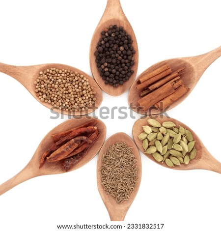 Spice selection of chili, coriander, black peppercorns, cinnamon sticks, cardamom and cumin seeds in wooden spoons over white background. Six main oriental cooking spices.