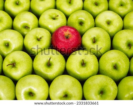 red apple standing out from large group of green apples. Horizontal shape