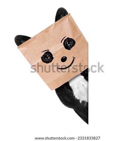 happy french bulldog , with a smiley smile drawing , hiding behind a paper bag on his head, isolated on white background