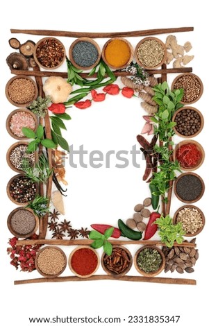 Abstract herb and spice border with fresh and dried herbs and spices with cinnamon sticks creating a frame On white background, top view.