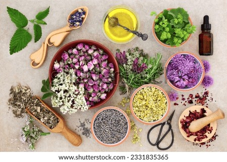 Herbal medicine preparation with fresh herbs and flowers, aromatherapy essential oil, mortar with pestle and scissors on hemp paper background. Top view.