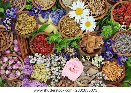 Natural alternative herbal medicine with dried and fresh herbs and flowers forming a colourful background. Top view.