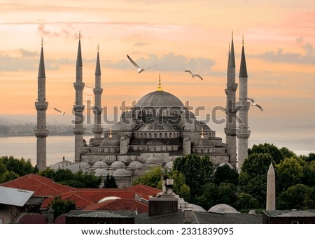 Seagulls over Blue Mosque and Bosphorus in Istanbul, Turkey