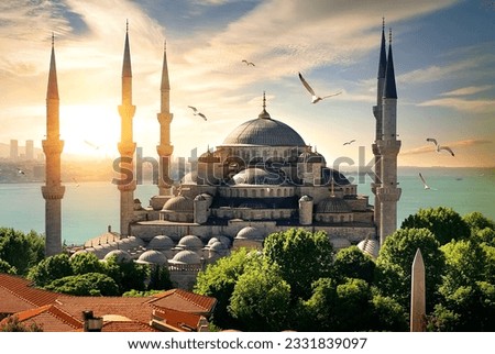 Seagulls over Blue Mosque and Bosphorus in Istanbul, Turkey