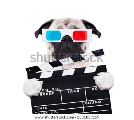 dog watching the movies with 3d glasses and a scene cinema clapper slate board, isolated on white background