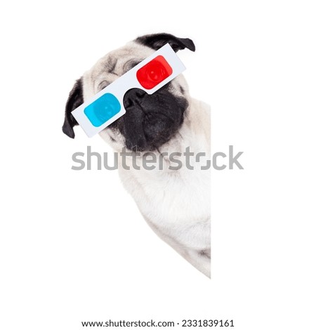 pug dog at cinema watching the movies with 3d glasses isolated behind empty white background
