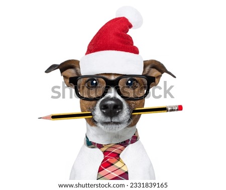 jack russell dog with pencil or pen in mouth wearing nerd glasses for work as a boss or secretary ,on christmas holidays vacation with santa claus hat