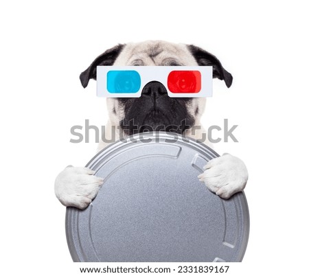 pug dog watching a movie with 3d glasses and a cinema tin roll, isolated on white background