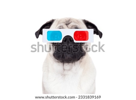 pug dog at cinema watching the movies with 3d glasses isolated on white background