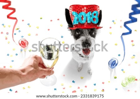 poodle dog celebrating new years eve with owner and champagne glass isolated on white background , serpentine streamers and confetti