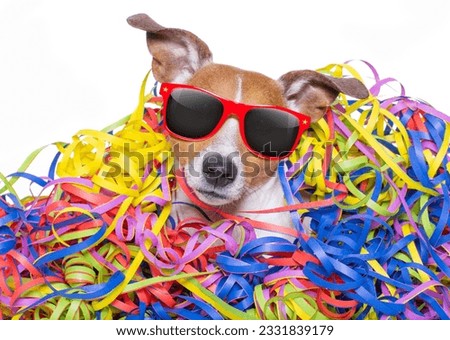 funny jack russell dog having fun and a party with serpentine streamers, for birthday or happy new year, wearing sunglasses