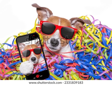 funny jack russell dog having fun and a party with serpentine streamers, for birthday or happy new year, taking a selfie with smartphone or cell phone
