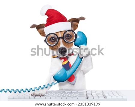 crazy jack russell dog with nerd glasses as an office business worker on the phone or telephone, isolated on white background, on christmas holidays vacation with santa claus hat